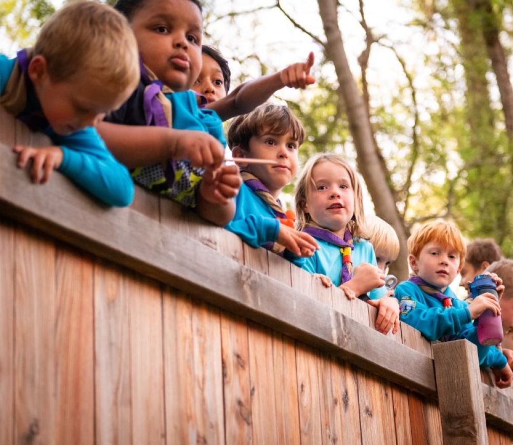 Beavers at viewing platform trying to spot animals