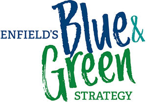 Blue Green strategy logo