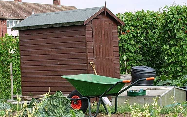 Small wooden shed on allotment