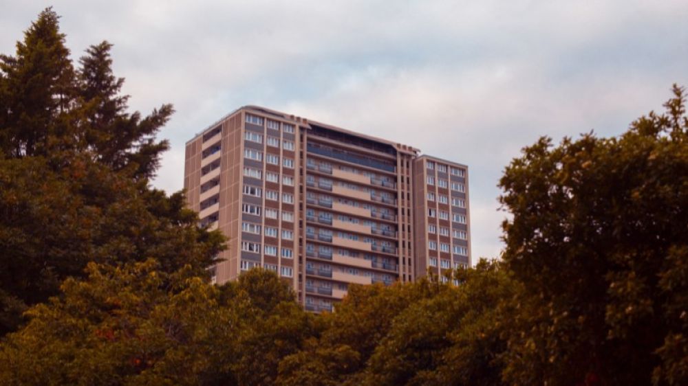 Housing fraud