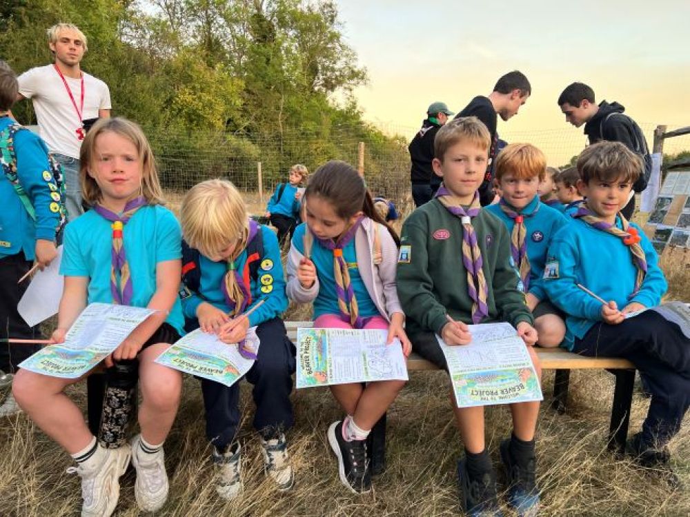 Beavers sitting on a log completing a written task