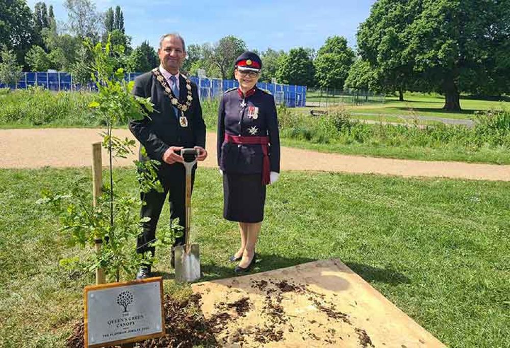 Mayor of Enfield with Ann Cable planting an oak sapling