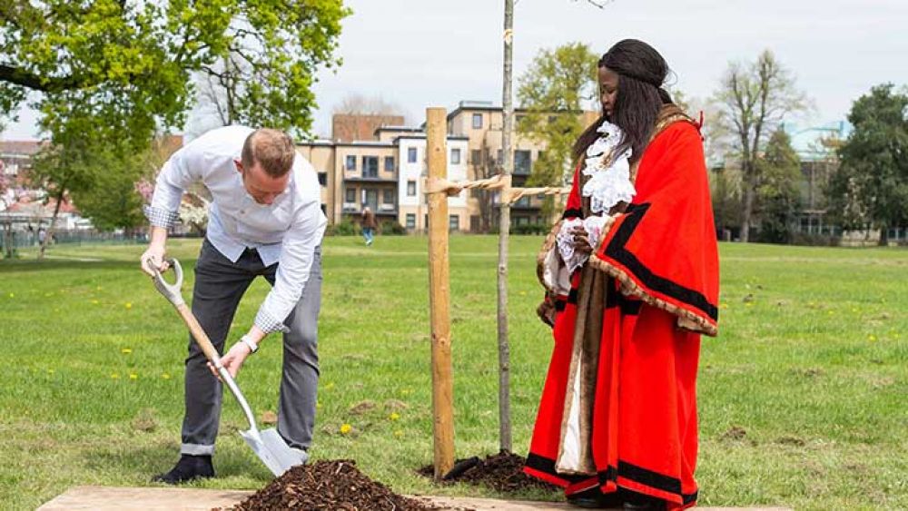 Coronation tree planting