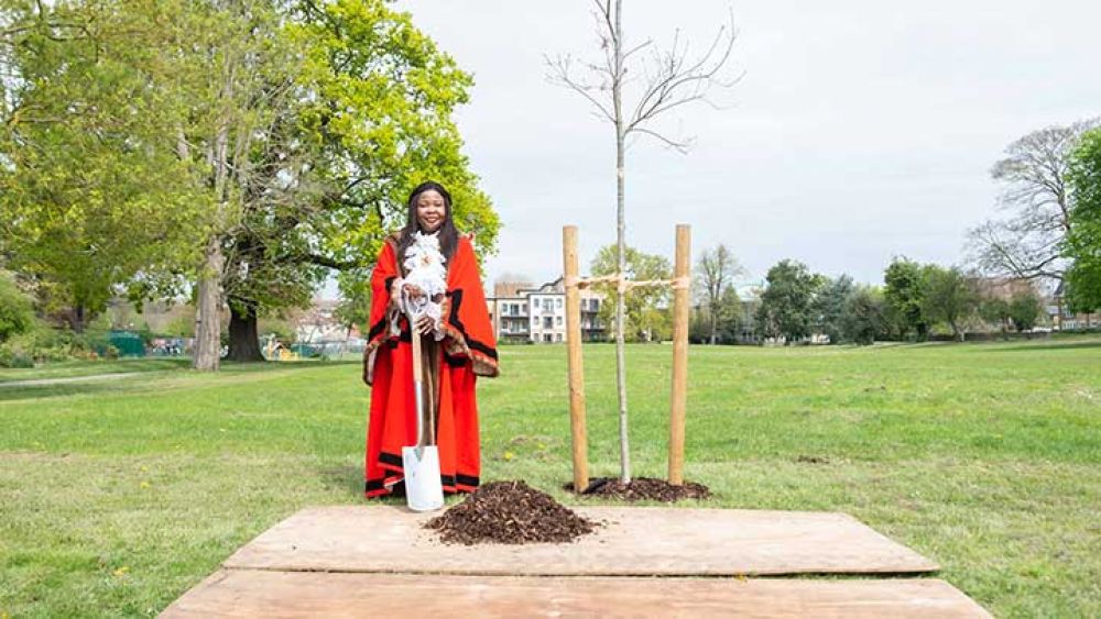 Coronation tree planting