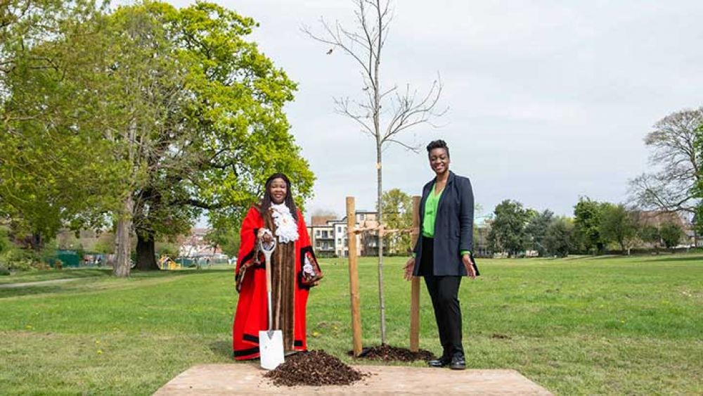 Coronation tree planting