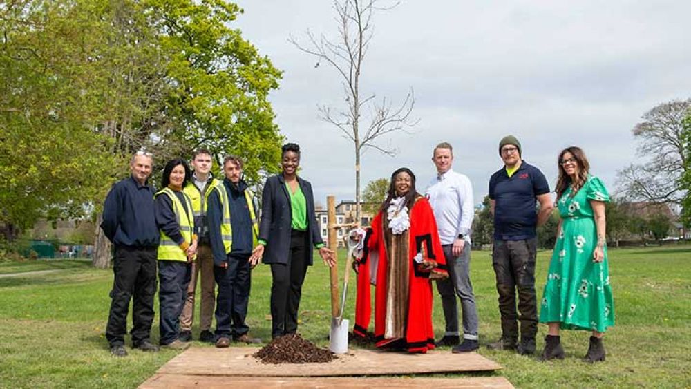 Coronation tree planting