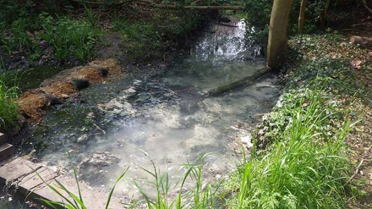 Glenbrook Stream showing sewage fungus