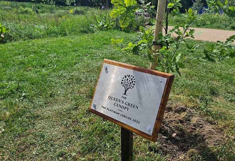 Plaque and sapling for the Queen's green canopy