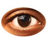 An eye