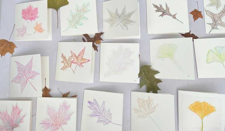 Leaf rubbing results