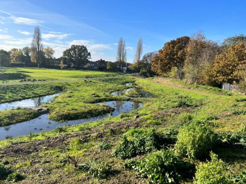 Wilbury Way Wetlands