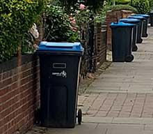 Bins placed on pavement in front of the property
